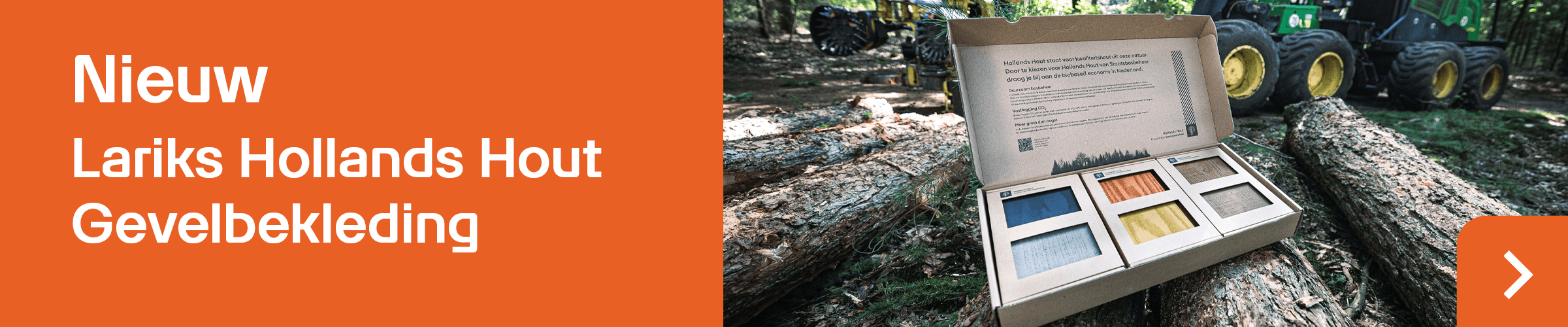 Hollands Hout
