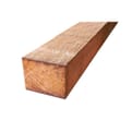 Western Red Cedar 100x200mm PEFC product photo