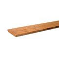 Western Red Cedar 22x200mm PEFC product photo
