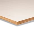 Okoume multiplex Ecopaint 250x122cm FSC product photo