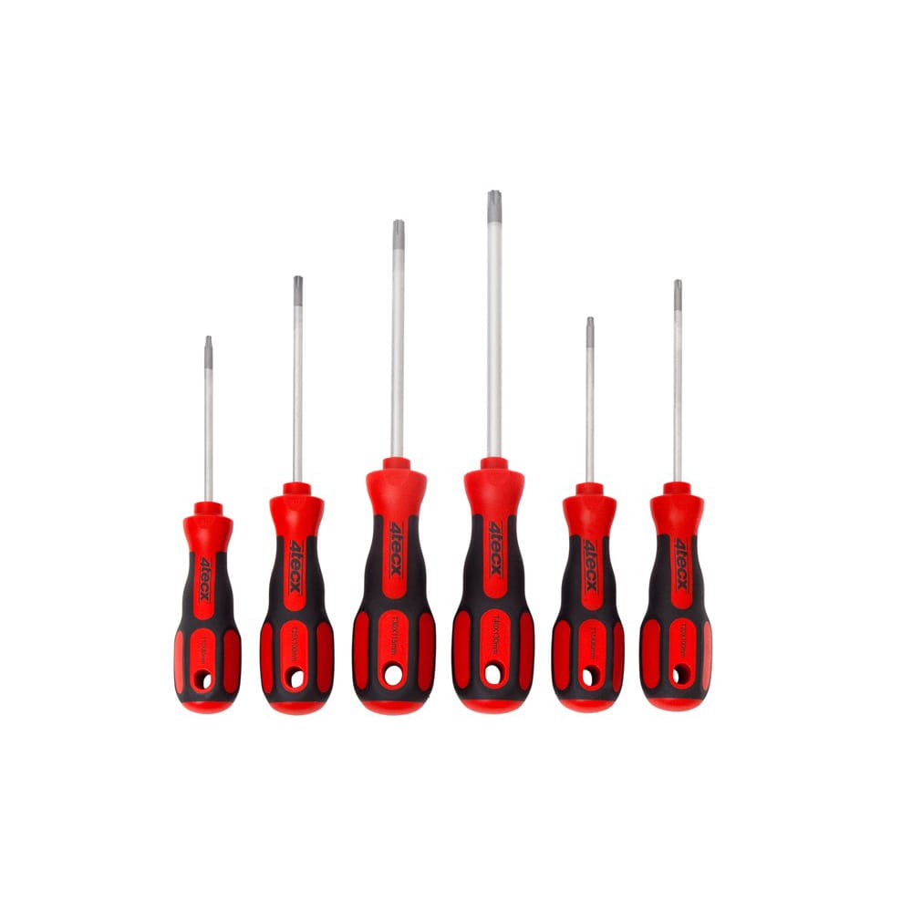 4tecx schroevendraaierset torx 6 delig