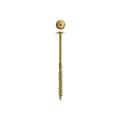 DynaPlus houtbouwschroef Torx AR product photo