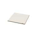 Rockpanel Colours 250x120cm 8mm product photo