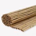 Tuinscherm bamboemat gelakt product photo
