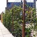 Tuinscherm gaaspaneel verzinkt mw10 product photo