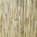 Tuinscherm rietmat product photo