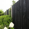 Douglas halfhoutrabat zwart 20x200 PEFC product photo