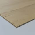 Buigtriplex 5mm dwarsfineer PEFC product photo