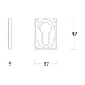 Intersteel rozet PC rechthoekig mat product photo
