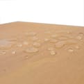 Radiplex Mouldguard B/C T&G 244x122 FSC product photo