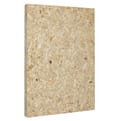 ESB plus strong board P5 SQ 259,5x125cm product photo